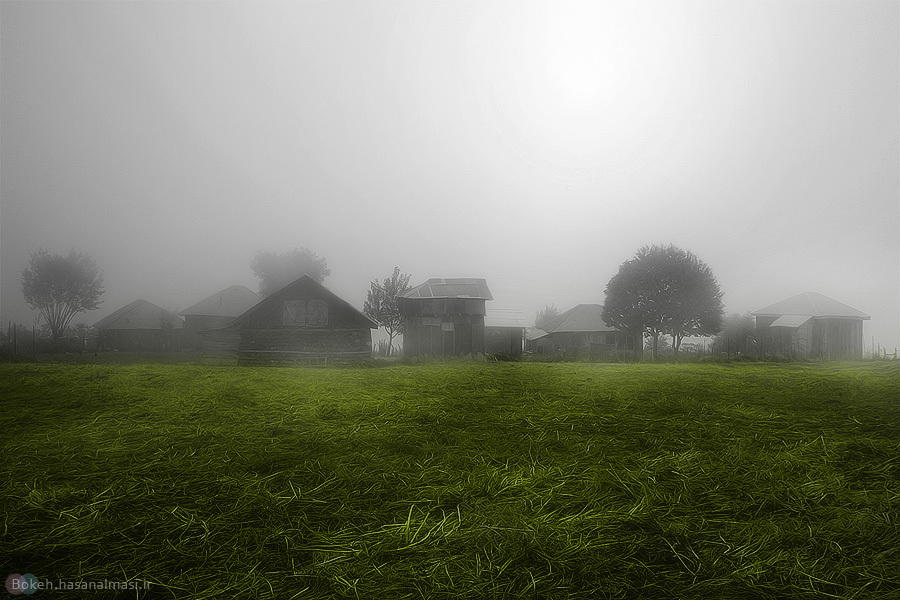 A village of fog