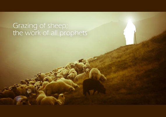 Grazing of sheep; the work of all prophets